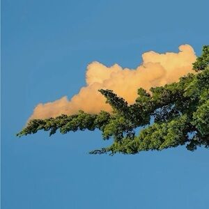 Elegant Silver Necklace